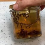 Stop Throwing Away Empty Toilet Rolls: 7 ways To Reuse them Again in the Garden