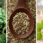 Never Use Vinegar Near These Plants – Even a Small Amount Can Kill Them (Here’s What to Do Instead)