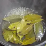 Honey with Turmeric: The Most Potent Natural Antibiotic That Even Doctors Can’t Fully Explain