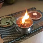 Stop Buying Blueberries- Use This Clever Method To Get A Never Ending Supply