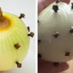 The Science of Burning Thyme: What It Does to Respiratory Health