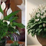 Totally did not expect this lol