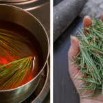 Why Every Gardener Should Use Ash: 7 Plants That Thrive with This Natural Fertilizer