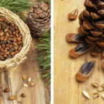 You are doing it all wrong. Here’s the right way to use mercurochrome