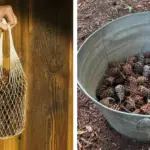 How to Make Peppermint Oil at Home and Why It Helps With Headaches & Nausea