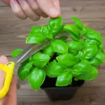 Don’t throw out old colanders. Here are 10 brilliant ways to re-use them