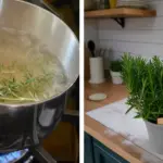 PINE NEEDLES: 10 Clever Uses You Probably Never Thought Of