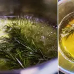 Special Trick to Root Garlic Quickly & Have Unlimited Supply