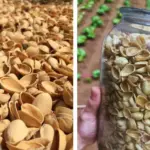 10 Powerful Benefits of Simmering Pine Needles – And Why You Should Try It