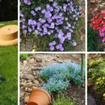 PINE NEEDLES: 10 Clever Uses You Probably Never Thought Of