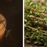 Find a clever trick to solve remote control problems