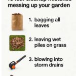 Here’s why cutting back perennials too early can damage plants over winter