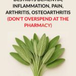 If you see this plant, you’re sitting on gold and don’t even know it