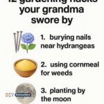 10 surprising plant pairings that boost growth