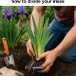 What to Do When You Wake Up at 3 A.M. — And Still Feel Rested the Next Day