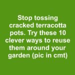 I found out my husband was cheating when I was seven months pregnant — the sh0ck sent me to the hospital, and he walked out to be with his mistress.