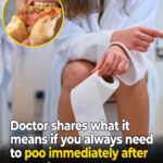 The 20 Potentially Dangerous Medications That Could Cause Memory Loss