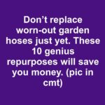 Got peonies that don’t bloom? Here are 10 brilliant reasons why