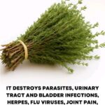 8 of the Most Harmful Foods for the Prostate (DON’T IGNORE)