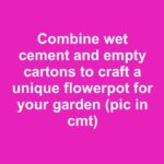 Here’s Why You Should Always Put a Coffee Filter in Your Flower Pots