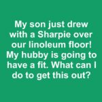 How To Force a Snake Plant to Produce Pups for Unlimited Sansevierias