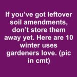 Something felt off about the nanny’s daily “walks” with my mom. Then I checked the doorbell audio.