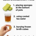 Don’t junk your eggshells. Hang them in your garden instead. Here’s why