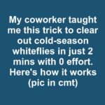 One of my outlets started making a faint buzzing noise, and electricians aren’t available anytime soon. What should I do safely?