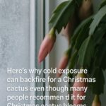 Don’t throw away those frost cloth scraps. Here are 10 smart ways to reuse them this winter.