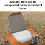 You’re doing it all wrong. Here’s the right way to store eggs