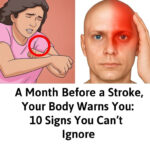 It is among the most powerful plants in the world