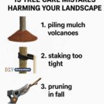 Which nail attracts you most? It reveals what type of woman you are.