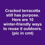 Here’s why you want to hang a soap bar in your garden 