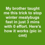 No one told me about this