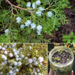 Most people will never know