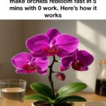 10 strange pruning habits that keep plants thriving 