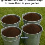 Stop bagging up fallen leaves. Here are 10 brilliant ways gardeners use them to boost their outdoor space.