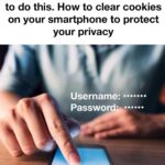 Boiled Eggs vs. Fried Eggs: Which Is Better for Breakfast?