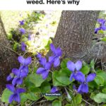 In just 15 minutes, whip up some diced chicken into a dinner that tastes like it’s straight from a restaurant