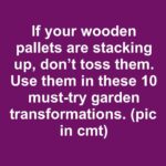 What We Discovered After Going Through My Dad’s Things