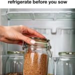 Here’s why misting houseplants in winter can actually cause problems instead of helping