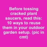 Why You Should Hang A Pine Cone Near Your Garden