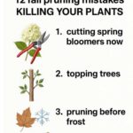 Most folks have no clue. Why your basil plant keeps wilting & the easiest hack to revive it