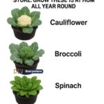 When Life Falls Apart and Comes Back Together: A Journey of Healing