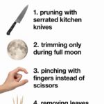 If You Have a Few Buckets, Here Are Smart Ways to Use Them in the Garden