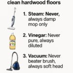 My neighbor taught me this trick to wipe out mealybugs in just 3 mins with 0 effort. Here’s how it works