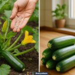 10 mowing habits that destroy grass