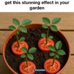 I seriously didn’t know you could do this