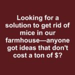 My parents noticed a white sticker with random numbers slapped onto their mailbox. What do these numbers mean?