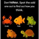 Had no clue about this